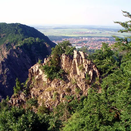 Alscher Garni Pensionat 3*